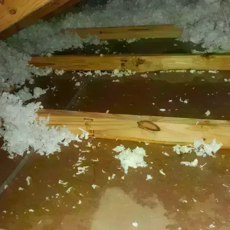 Attic Water Damage in Minetto, NY